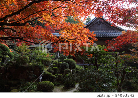 金剛輪寺（近江西国第十五番札所）／ 庭園　【滋賀県愛荘町】 84093542