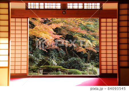 金剛輪寺（近江西国第十五番札所）／ 庭園　【滋賀県愛荘町】 84093545