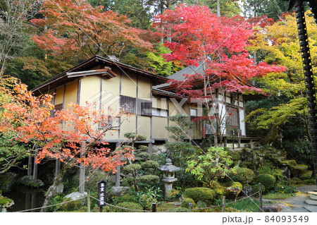 金剛輪寺（近江西国第十五番札所）／ 庭園　【滋賀県愛荘町】 84093549