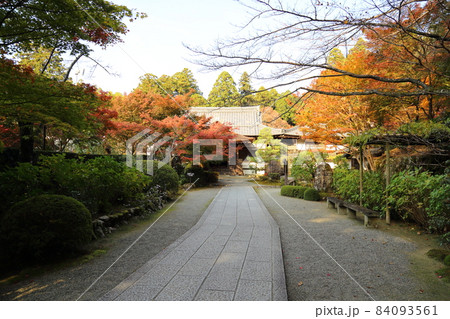 金剛輪寺（近江西国第十五番札所）／ 庭園　【滋賀県愛荘町】 84093561