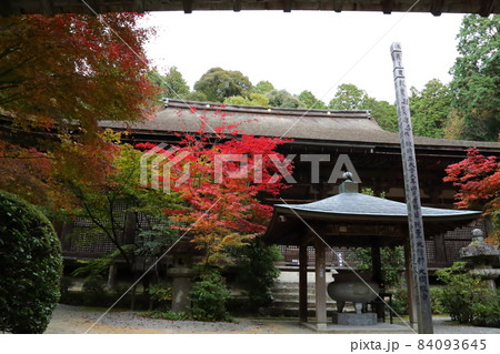 金剛輪寺（近江西国第十五番札所）／ 本堂(国宝)　【滋賀県愛荘町】 84093645