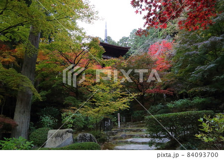 金剛輪寺（近江西国第十五番札所）／ 三重塔(重要文化財)　【滋賀県愛荘町】 84093700