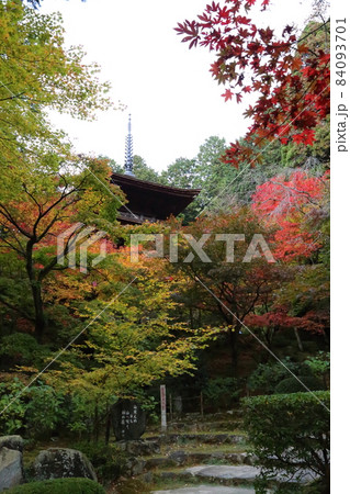 金剛輪寺（近江西国第十五番札所）／ 三重塔(重要文化財)　【滋賀県愛荘町】 84093701
