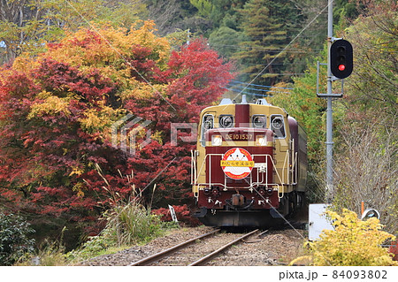 「トロッコわたらせ渓谷号」赤色・黄色の紅葉を背景に 「トロッコわたらせ渓谷号」赤色・黄色の紅葉を背景に 84093802