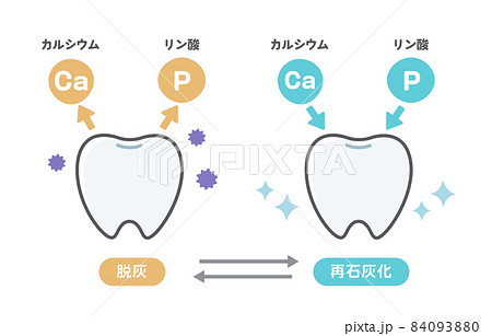 脱灰と再石灰化に関する歯のイラストのイラスト素材