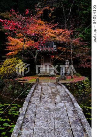 紅葉のほこら 84094105