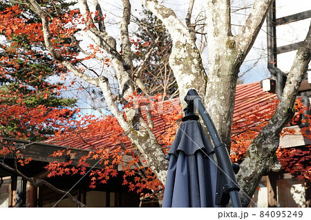 ⒒月、秋の軽井沢、紅葉の葉も散り町は冬の準備、 ⒒月、秋の軽井沢、紅葉の葉も散り町は冬の準備、 84095249