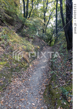 史跡金山城跡 西矢倉台下堀切 史跡金山城跡 西矢倉台下堀切 84095353