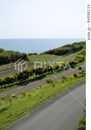 海辺の道路　丘の上の道路 84096114