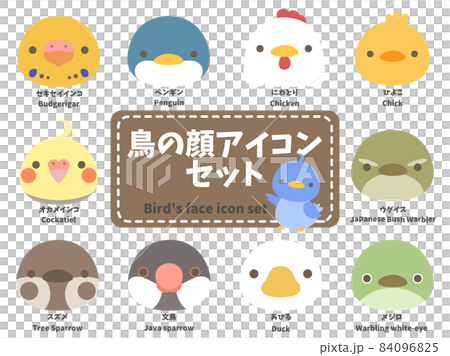 Bird face icon set 84096825