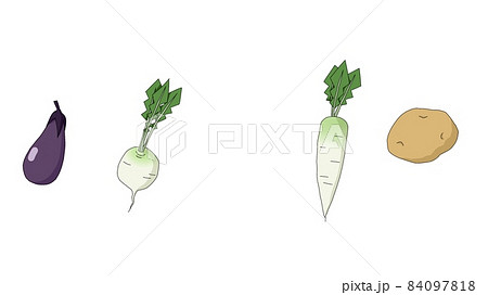 野菜のイラスト(茄子、蕪、大根、ジャガイモ) 野菜のイラスト(茄子、蕪、大根、ジャガイモ) 84097818