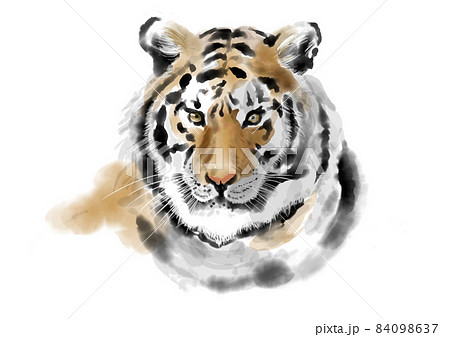 手描きのトラ01 手描きのトラ01 84098637