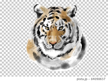 手繪老虎01 84098637