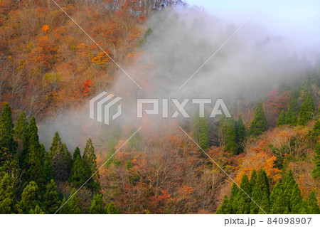 紅葉の峠道 紅葉の峠道 84098907