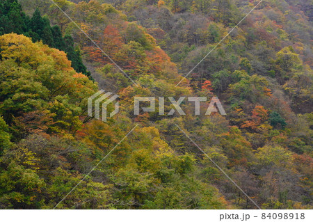 紅葉の峠道 84098918
