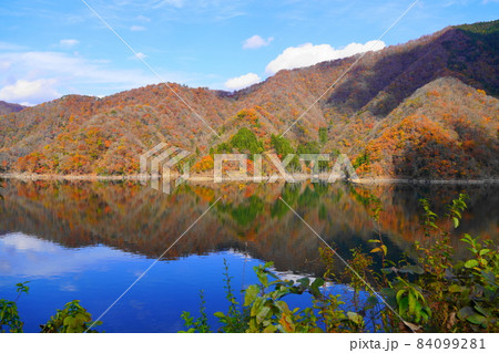 秋の徳山ダム湖の元本郷あたりの紅葉の映り込み 84099281