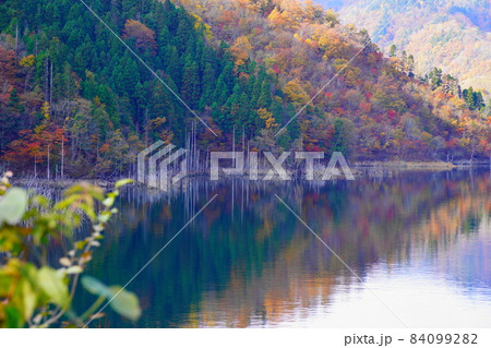 秋の徳山ダム湖の元本郷あたりの紅葉の映り込み 秋の徳山ダム湖の元本郷あたりの紅葉の映り込み 84099282