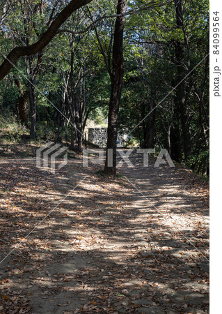 史跡金山城跡　遊歩道の先に物見台下虎口 84099564