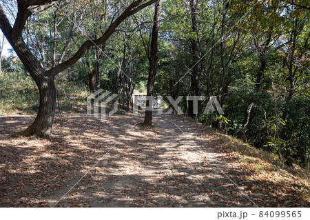 史跡金山城跡　遊歩道の先に物見台下虎口 84099565