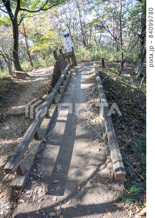 史跡金山城跡 西矢倉台西塹壕の橋 史跡金山城跡 西矢倉台西塹壕の橋 84099780