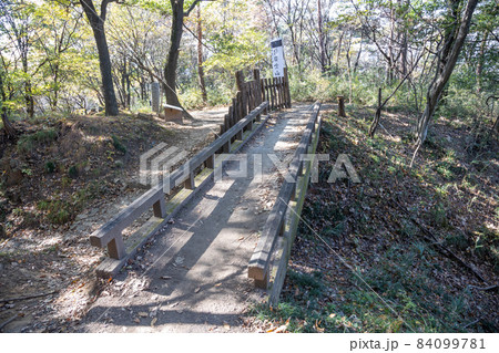 史跡金山城跡　西矢倉台西塹壕の橋 84099781