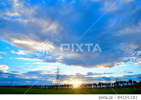満願寺のはさ木(新潟県) 満願寺のはさ木(新潟県) 84101181