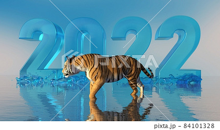 2022 year of the tiger on water 3d illustration 2022 year of the tiger on water 3d illustration 84101328