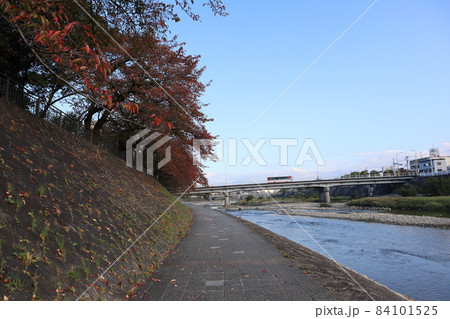 青空と白い雲とバスの行く橋のかかる川と石垣の上に紅葉して色づく桜の樹のある石畳の遊歩道の続く風景 青空と白い雲とバスの行く橋のかかる川と石垣の上に紅葉して色づく桜の樹のある石畳の遊歩道の続く風景 84101525