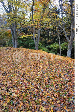 紅葉の鍋倉城跡 84101588