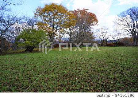 紅葉の鍋倉城跡 紅葉の鍋倉城跡 84101590