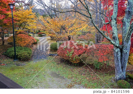 紅葉の鍋倉城跡 紅葉の鍋倉城跡 84101596