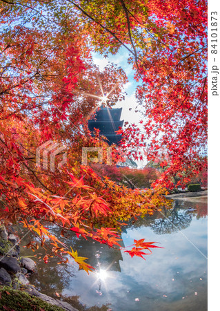 京都の紅葉　東寺　リフレクション 84101873