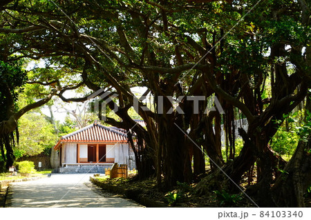 玉陵(沖縄県) 84103340