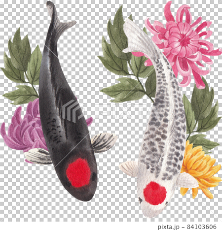 Oriental koi colorful floating carps backdrop, chinese goldfish. Asian traditional carp fish watercolor illustration Oriental koi colorful floating carps backdrop, chinese goldfish. Asian traditional carp fish watercolor illustration 84103606
