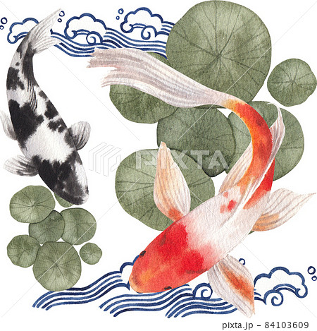 Oriental koi colorful floating carps backdrop, chinese goldfish. Asian traditional carp fish watercolor illustration 84103609