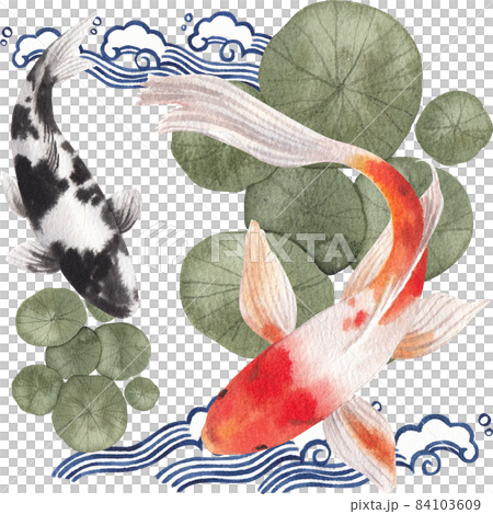 Oriental koi colorful floating carps backdrop, chinese goldfish. Asian traditional carp fish watercolor illustration 84103609