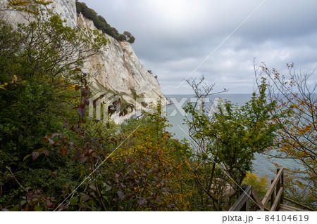 Beautiful chalk cliffs at Mons Klint in Denmark 84104619