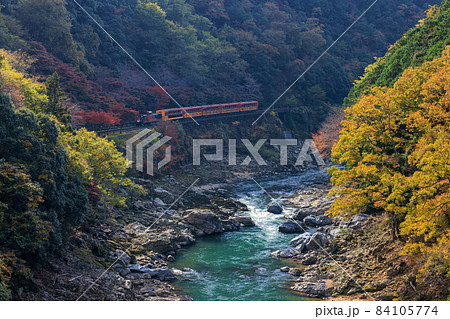 嵯峨野トロッコ列車と紅葉の写真素材