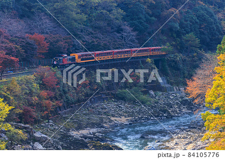 嵯峨野トロッコ列車と紅葉 84105776