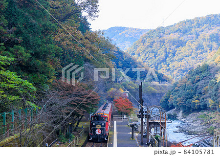 嵯峨野トロッコ列車と紅葉 嵯峨野トロッコ列車と紅葉 84105781