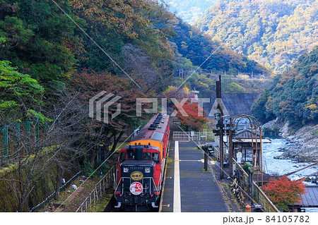 嵯峨野トロッコ列車と紅葉の写真素材 嵯峨野トロッコ列車と紅葉の写真素材