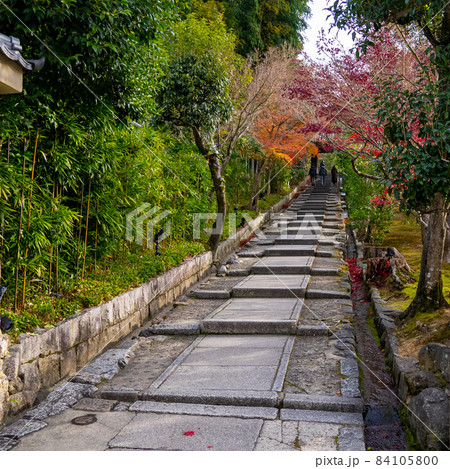 一部が紅葉した京都東山の小道を進む 84105800