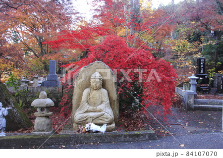 もみじ寺 永源寺3 もみじ寺 永源寺3 84107070