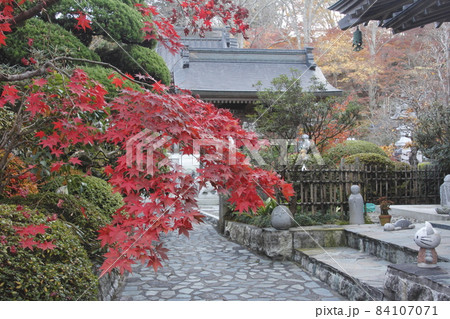 もみじ寺　永源寺4 84107071