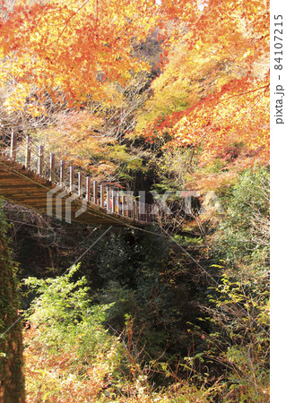 花貫渓谷6 汐見滝吊り橋2 花貫渓谷6 汐見滝吊り橋2 84107215