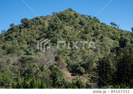 The highest peak of Doi Chang mountain (around 1,680 metres) in Chiang Rai province of Thailand the mountains region famous for coffee production. The highest peak of Doi Chang mountain (around 1,680 metres) in Chiang Rai province of Thailand the mountains region famous for coffee production. 84107332