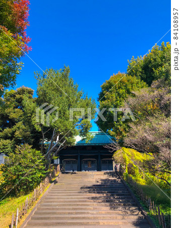 東京湯島・湯島聖堂杏壇門 東京湯島・湯島聖堂杏壇門 84108957