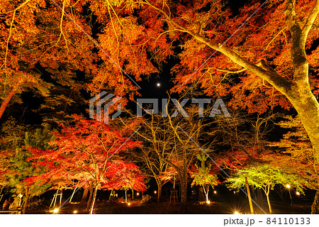 月と紅葉のライトアップ・月の石もみじ公園【埼玉県長瀞町】 月と紅葉のライトアップ・月の石もみじ公園【埼玉県長瀞町】 84110133