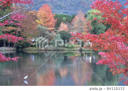 秋の湯布院 秋の湯布院 84110152