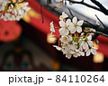 桜の花 84110264